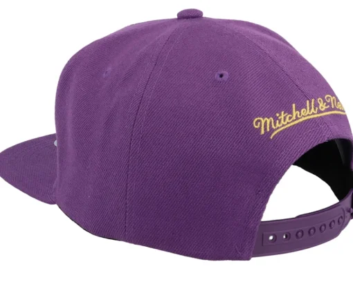 Snapback-Mitchell & Ness Louisiana State Tigers Core Side Snapback - Purple