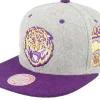 Best Mitchell & Ness Louisiana State Tigers Melton Patch /Purple Snapback - Grey
