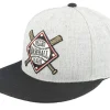 Snapback-American Needle Negro League Baseball Archive Heather Grey/Black Snapback -