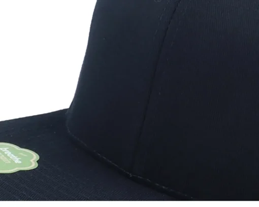 Best Yupoong Organic / Snapback - Black