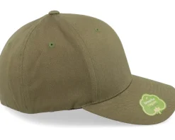 Blanks-Flexfit Organic Cotton Burntolive - Green