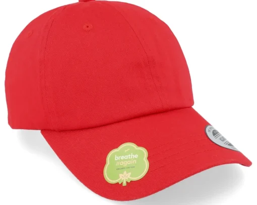 Best Yupoong Organic Pale Dad Cap - Grey