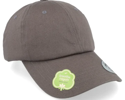 Best Yupoong Organic Pale Dad Cap - Grey