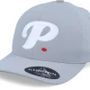 Sale Period P Delta Silver Flexfit -