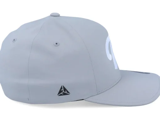 Sale Period P Delta Silver Flexfit -