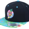 Snapback-Iconic Pineapple Surfer Summer Black/Aqua Snapback -