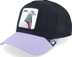 Clearance Goorin Bros. Premium Pigeon Black/Lavendel Trucker -
