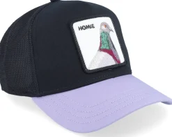 Clearance Goorin Bros. Premium Pigeon Black/Lavendel Trucker -