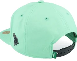 Snapback-Skillfish Pro Fishing Trout Teal Sustainable Snapback - Green