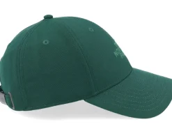 Adjustable-The North Face Recycled 66 Classic Hat Adjustable - Green