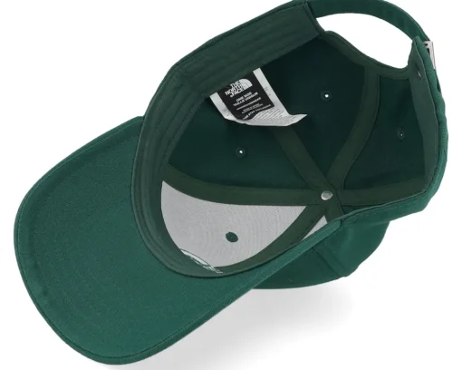 Adjustable-The North Face Recycled 66 Classic Hat Adjustable - Green