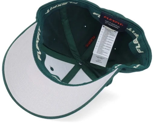 Flexfit-Iconic Risk Management Department Spruce Flexfit - Green
