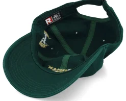 Dad Cap-Iconic Risk Management Department Dark Dad Cap - Green