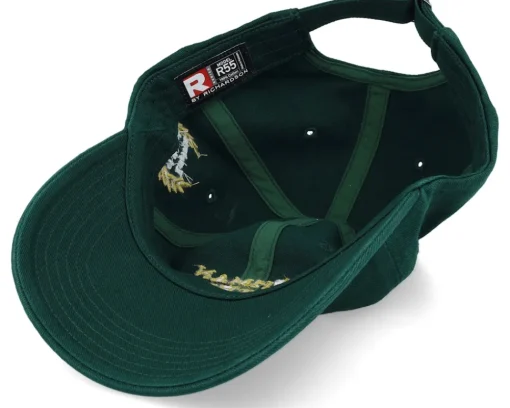 Dad Cap-Iconic Risk Management Department Dark Dad Cap - Green