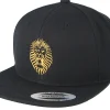 Snapback-Lions Roar Black/Gold Snapback -