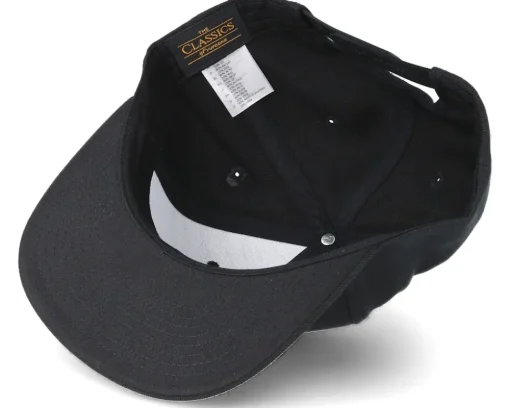 Snapback-Lions Roar Black/Gold Snapback -