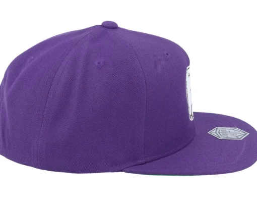 Snapback-Critiql Hit Sarcasm Ability Purple Snapback -