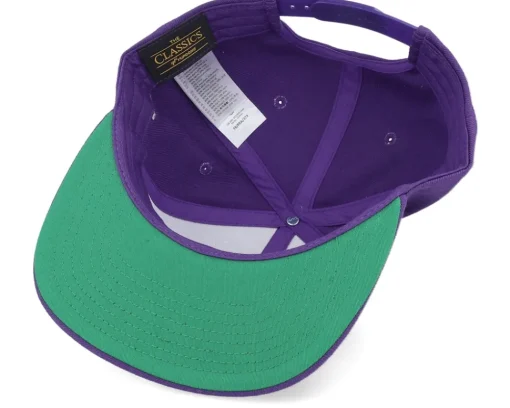 Snapback-Critiql Hit Sarcasm Ability Purple Snapback -