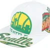 Best Mitchell & Ness Seattle Supersonics In Your Face Deadstock Hwc Snapback - White