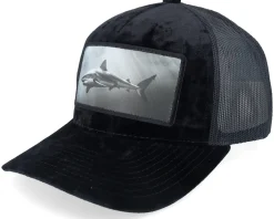 Trucker-Calza Pennello Shark Big Patch Velvet Trucker - Black