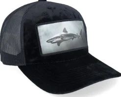 Trucker-Calza Pennello Shark Big Patch Velvet Trucker - Black