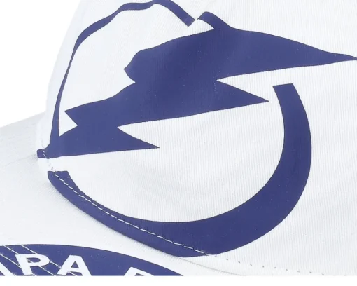 Best Mitchell & Ness Tampa Bay Lightning In Your Face Deadstock Snapback - White