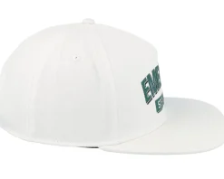 Snapback-Emerica Team Stay Gold Snapback - White