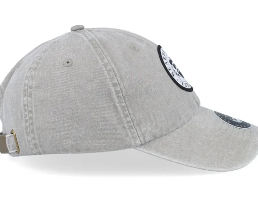 Hot Bearded Man The President Of Beards Patch Grey Dad Cap -