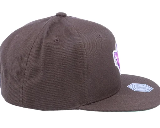 Snapback-Critiql Hit Vampire Overtake Patch Brown Snapback -