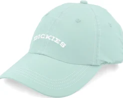 Online Dickies Wilsall Cap Dad Cap - Black
