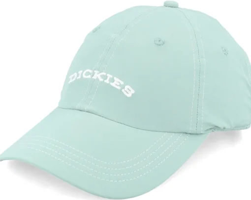 Online Dickies Wilsall Cap Dad Cap - Black
