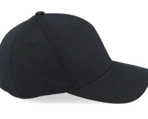 Flexfit-Wild Spirit Windrose Mountain Brown Patch Black Flexfit -